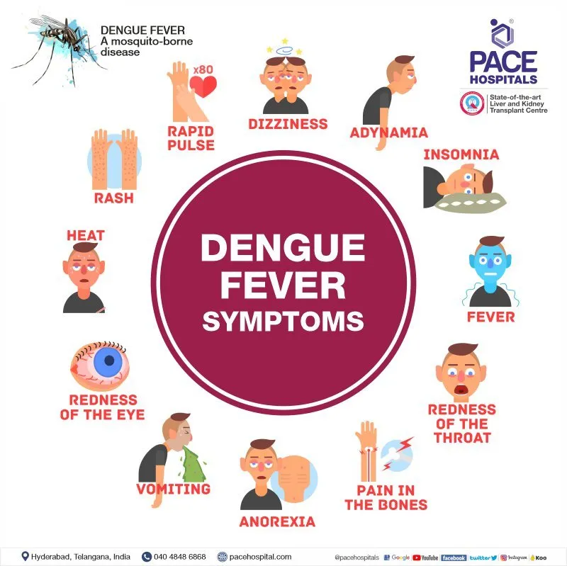 Dengue Fever