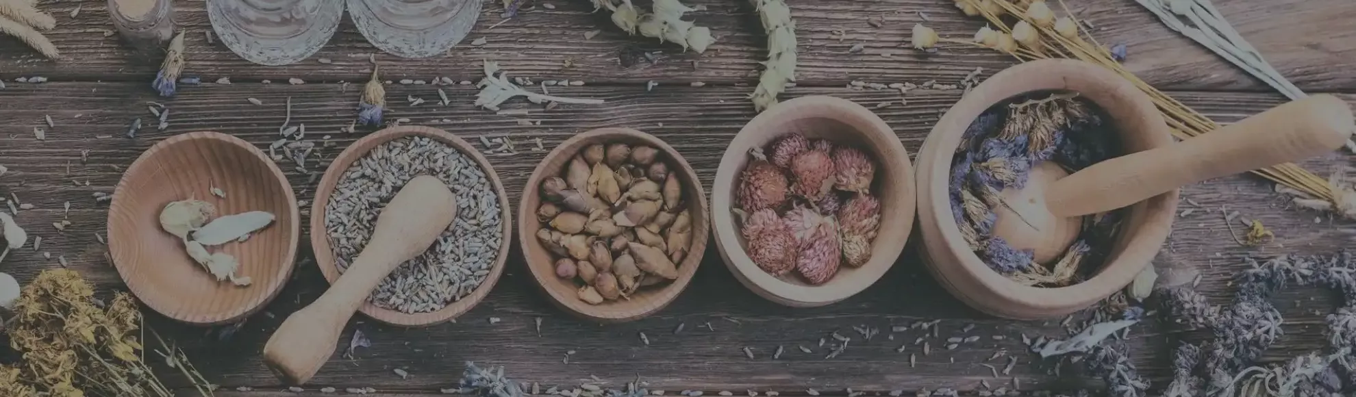 Ayurveda Education: Ancient Healing Science and Holistic Learning