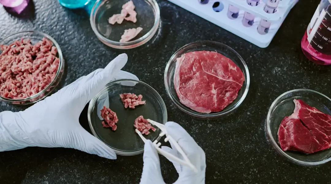 Cultivated meat