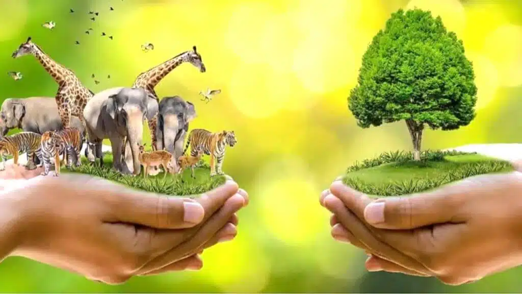 Wildlife Conservation
