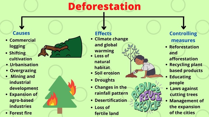 Deforestation: causes, effects and control strategies