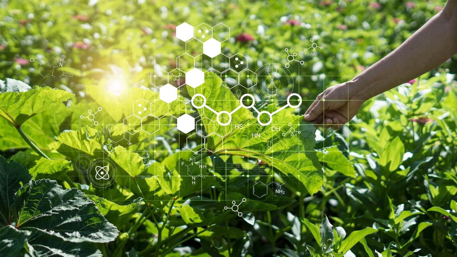 Green Nanotechnology: A New Hope for Medical Biology